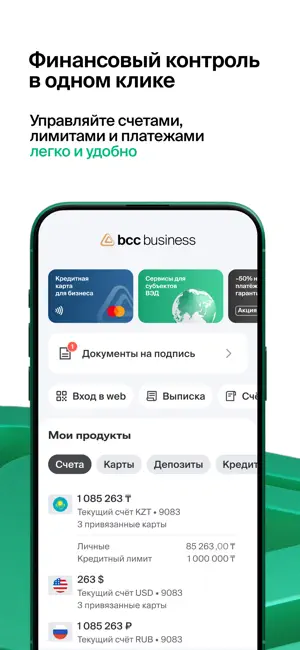 BCC Business 2.0 screenshot 3