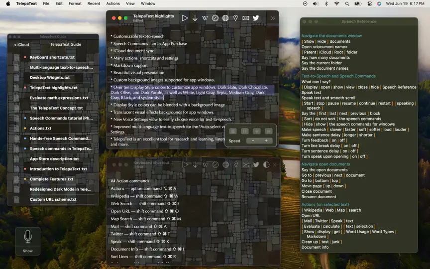 Скриншот TelepaText - Editor, Speech на iPhone 1