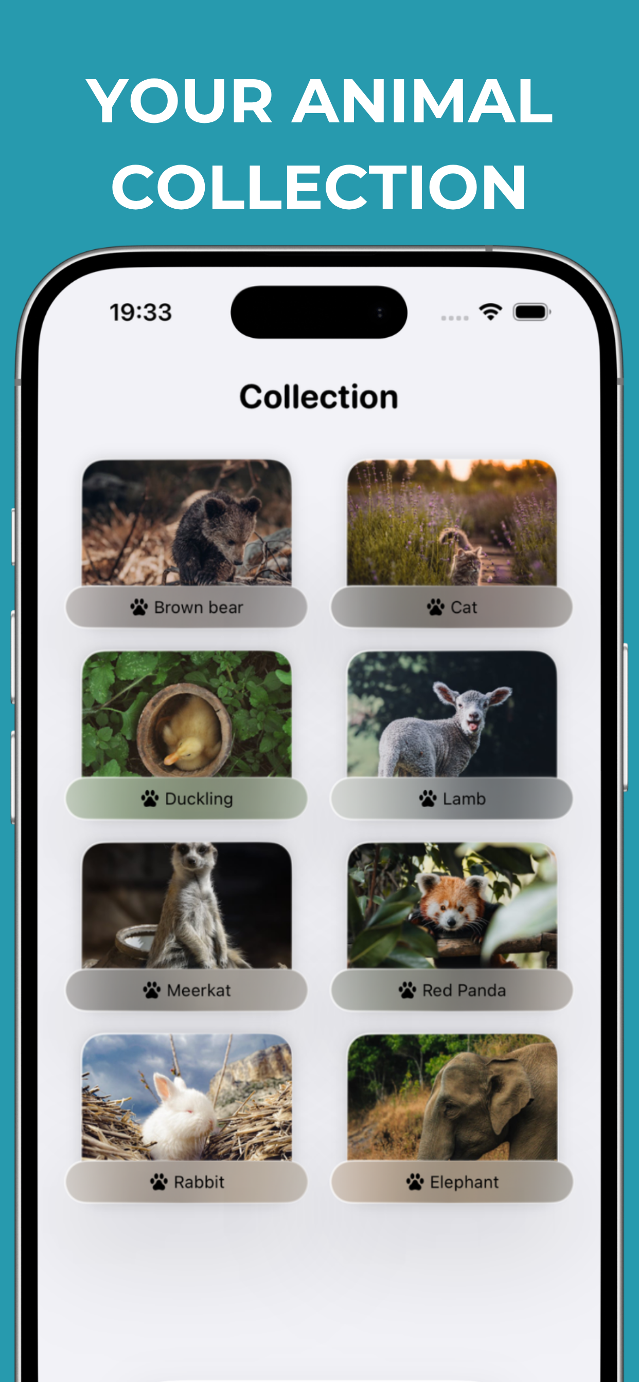 Animal Identifier! AI Scanner screenshot 3