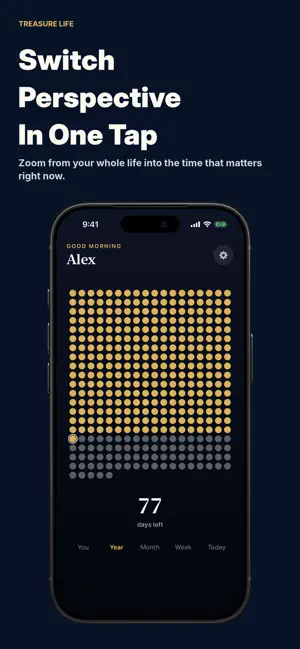 Treasure Life Countdown Widget screenshot 2