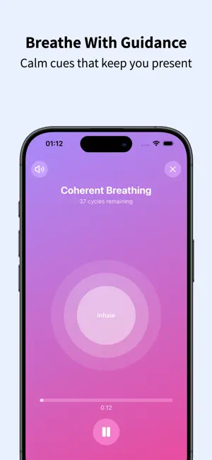 Breathflow Breathing Exercises screenshot 2