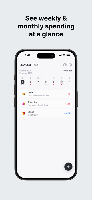 DayLedger - Simple Budget Screenshot 5 of 7
