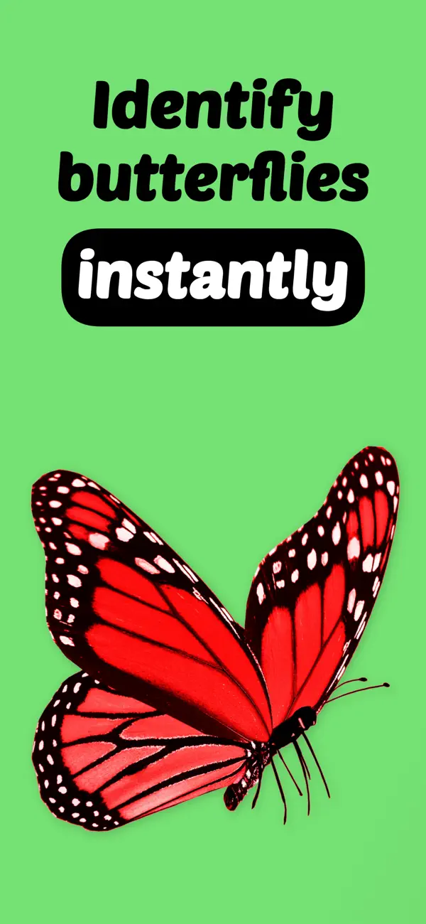 Screenshot #1 pour Identification Papillons: IA