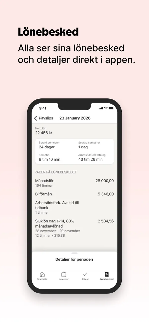 Screenshot #3 pour Spiris Anställd