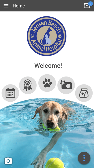 Jensen Beach Animal Hospital Screenshot
