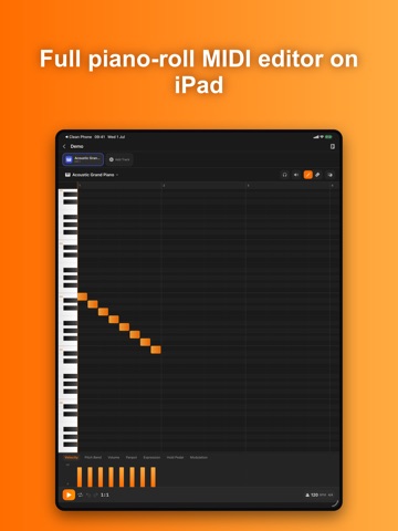 MIDI Editor• iPad screenshot