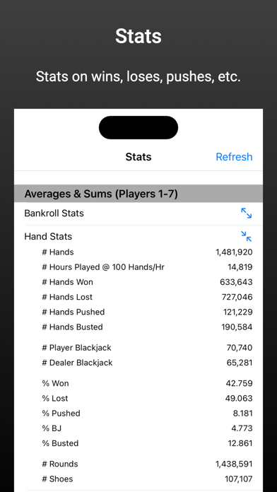 Blackjack - Simulator Screenshot