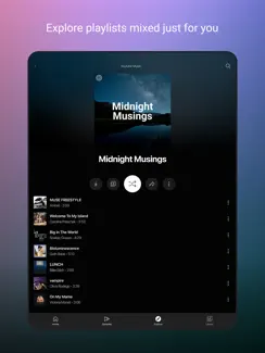 YouTube Music iPad image 2