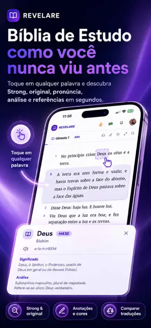 Revelare screenshot 1