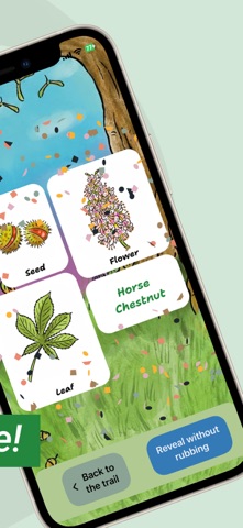Rowntree Park Screenshot 3 of 3