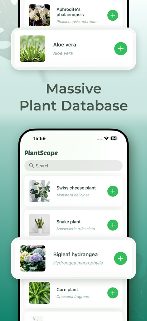 Plant Identifier: PlantScope - The app showcases a "Massive Plant Database" with a prominent "Search" bar, allowing users to browse and add various plant types, from "Swiss cheese plant" to "Bigleaf hydrangea".