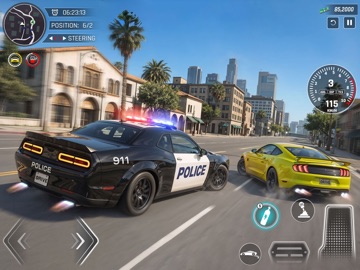 Steal & Drive Home iPad screenshot