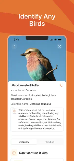 Bird Identifier: Scanner Guide screenshot 3