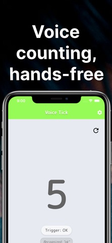 VoiceTick Counter Screenshot 1 of 5