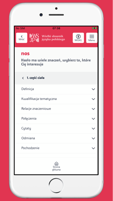 Wielki słownik WSJP PAN Screenshot