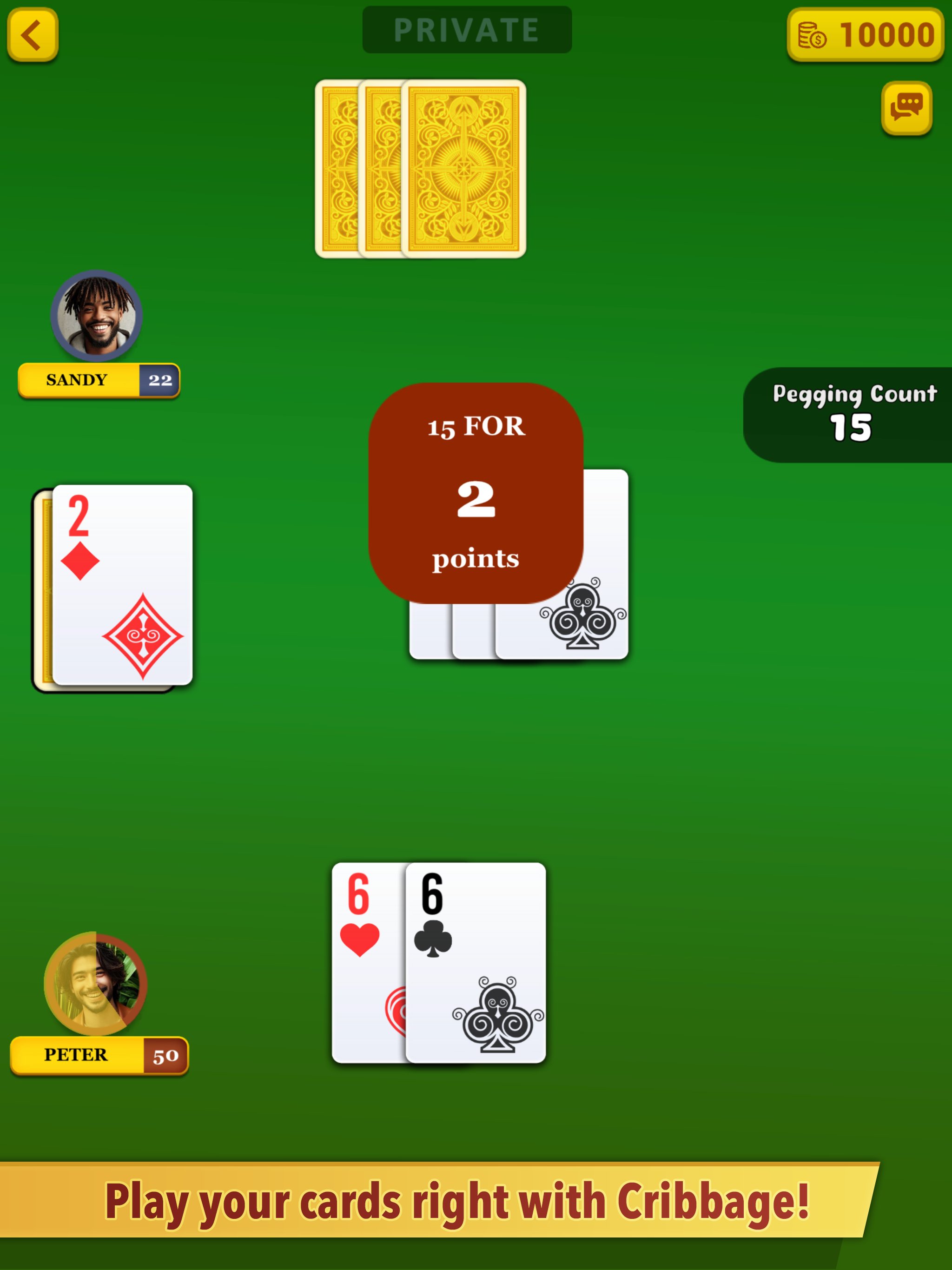 Cribbage ++