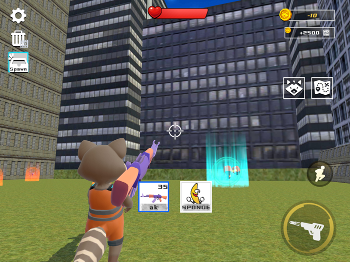 Raccoon Shooting Range