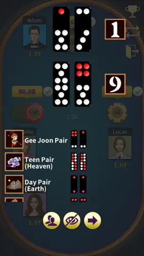 Pai Gow (Deluxe) screenshot 6