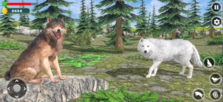 Wolf Simulator Jungle 3D Game Screenshot 1 of 4