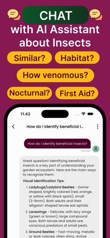 Insect ID: 昆虫识别AI screenshot