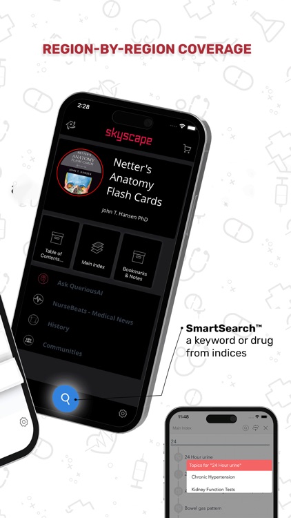 Netters Anatomy Flash Cards