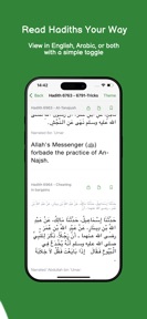 Hadithi: Your AI Hadith Guide screenshot