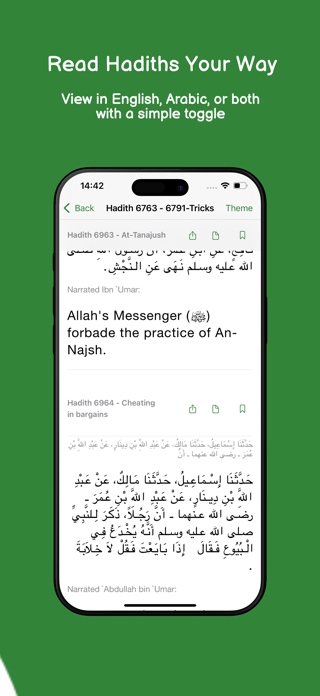 Hadithi: Your AI Hadith Guide Screenshot 3 of 7
