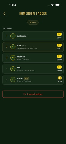 Open Pool League Screenshot 6 of 9