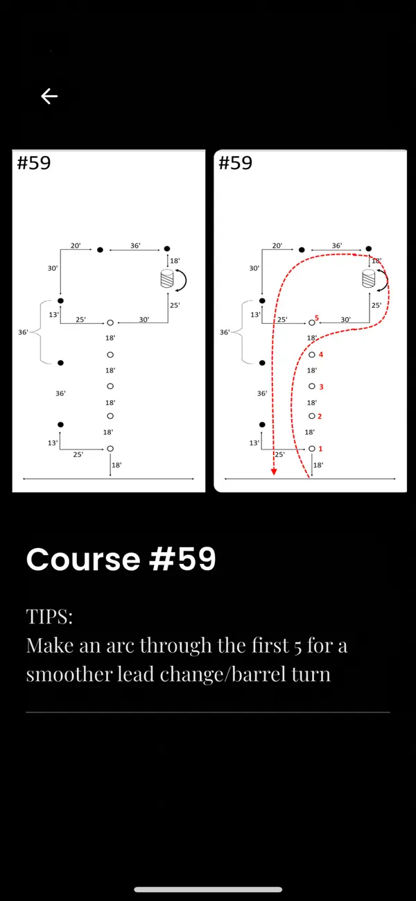 Screenshot #3 pour Mounted Shooters Guidebook