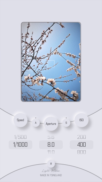 Light Meter - Tsingland