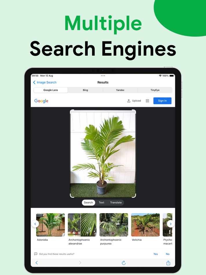 #2. Lens: Reverse Image Search AI (iOS) di: Anh Nguyen