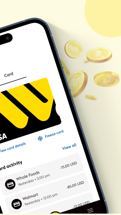 Vigo Money Screenshot