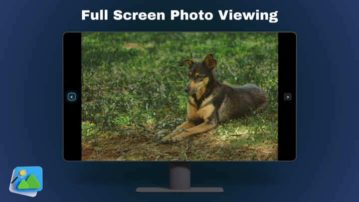 Screenshot #3 pour Photo Gallery for TV