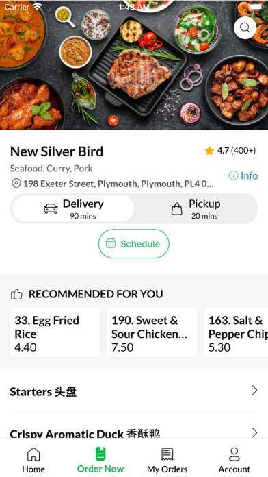 New Silver Bird Screenshot