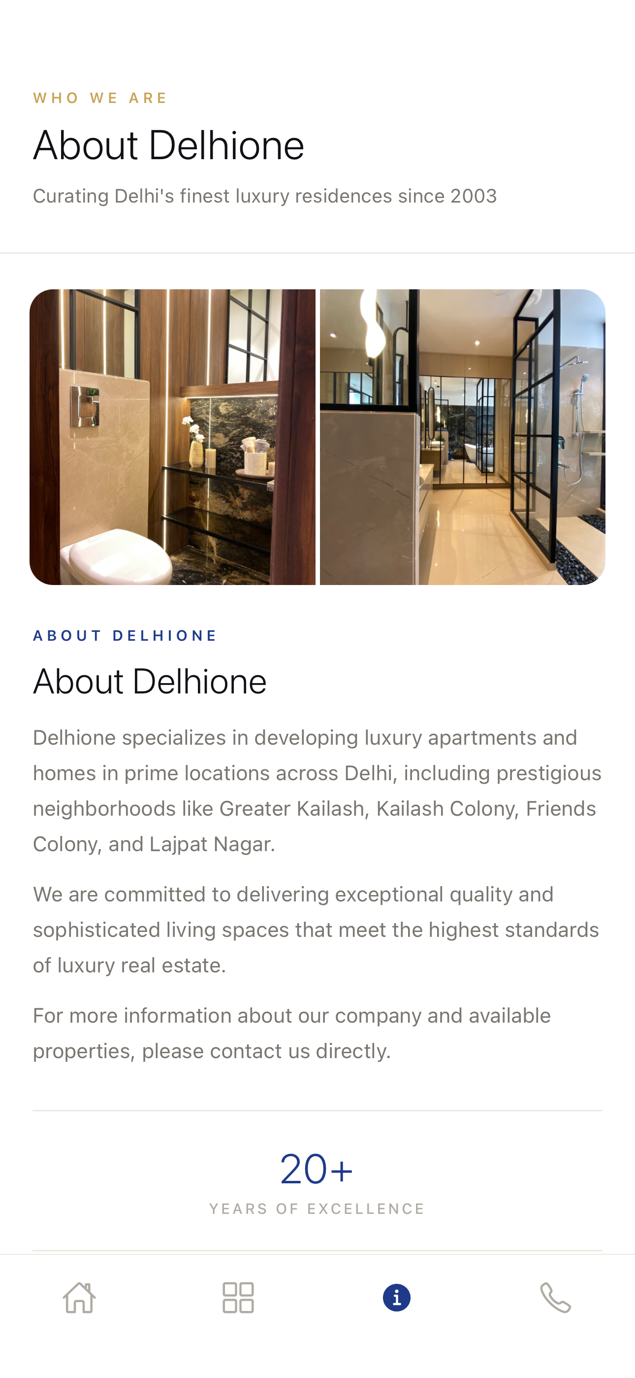 Delhione screenshot 3
