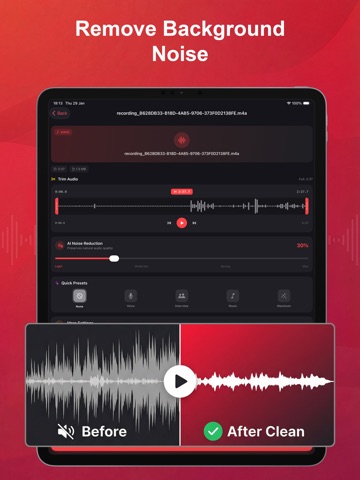 Noise Reducer iPad screenshot