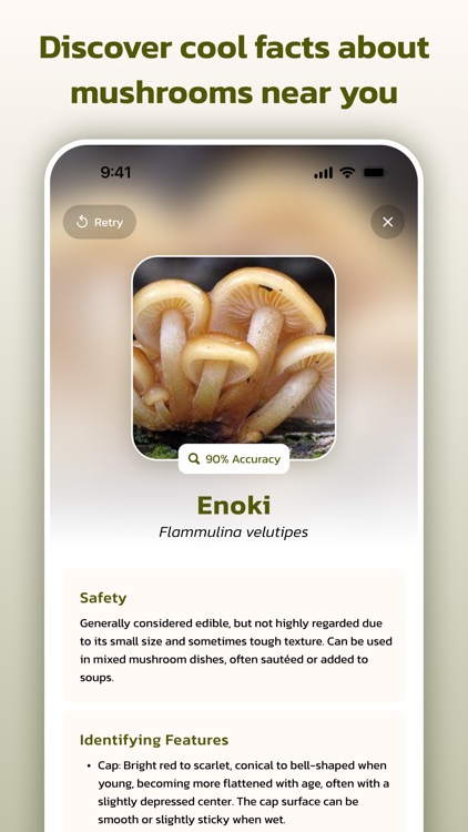 Mushroom Identifier -