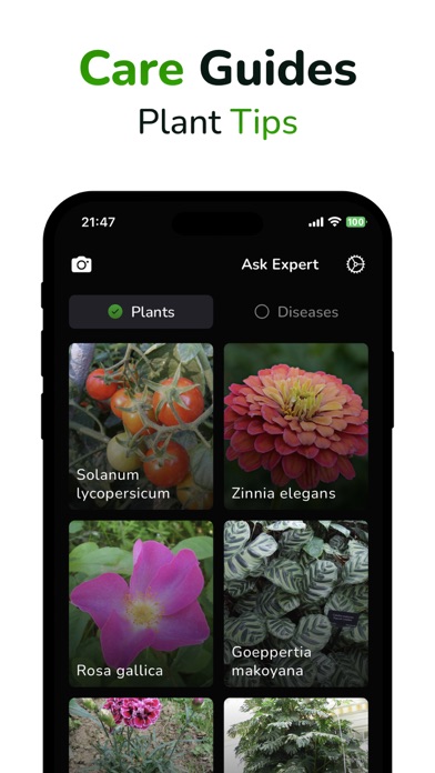 Plant Identifier & Disease ID Screenshot