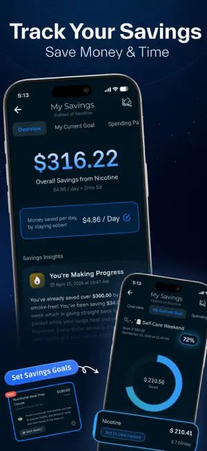 REVICE Sober: Quit with AI screenshot 4