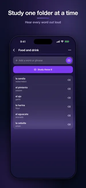 LinguaBoost screenshot 4