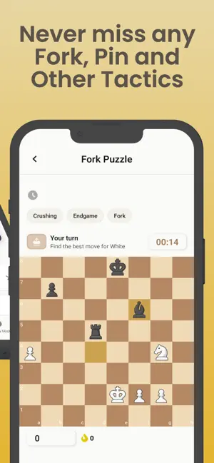 Offline Chess Puzzles screenshot 3