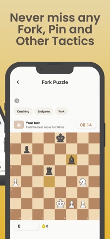 Chess Puzzles: Tactics Train Screenshot 3 of 10