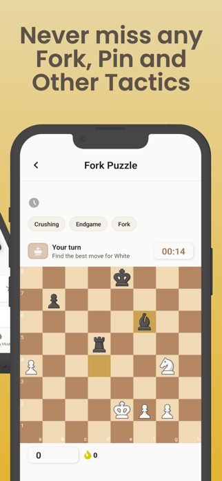 Chess Puzzles: Tactics Train Screenshot 3 of 10