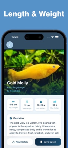 Fish Identifier & Scanner AI Screenshot 4 of 5