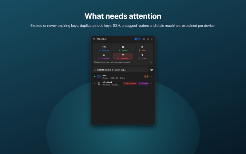 Meshbar: Tailnet Monitor screenshot 5