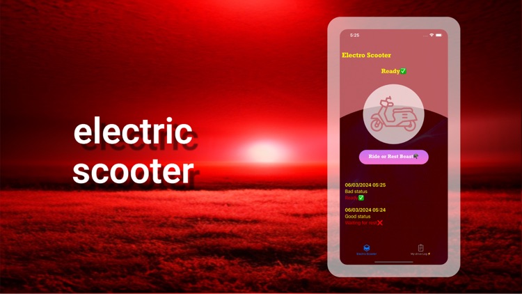 Electro Scooter Mantenimiento