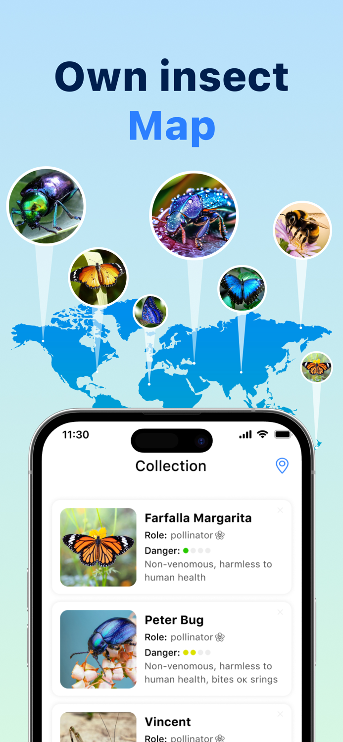 Bug Identifier Butterfly ID