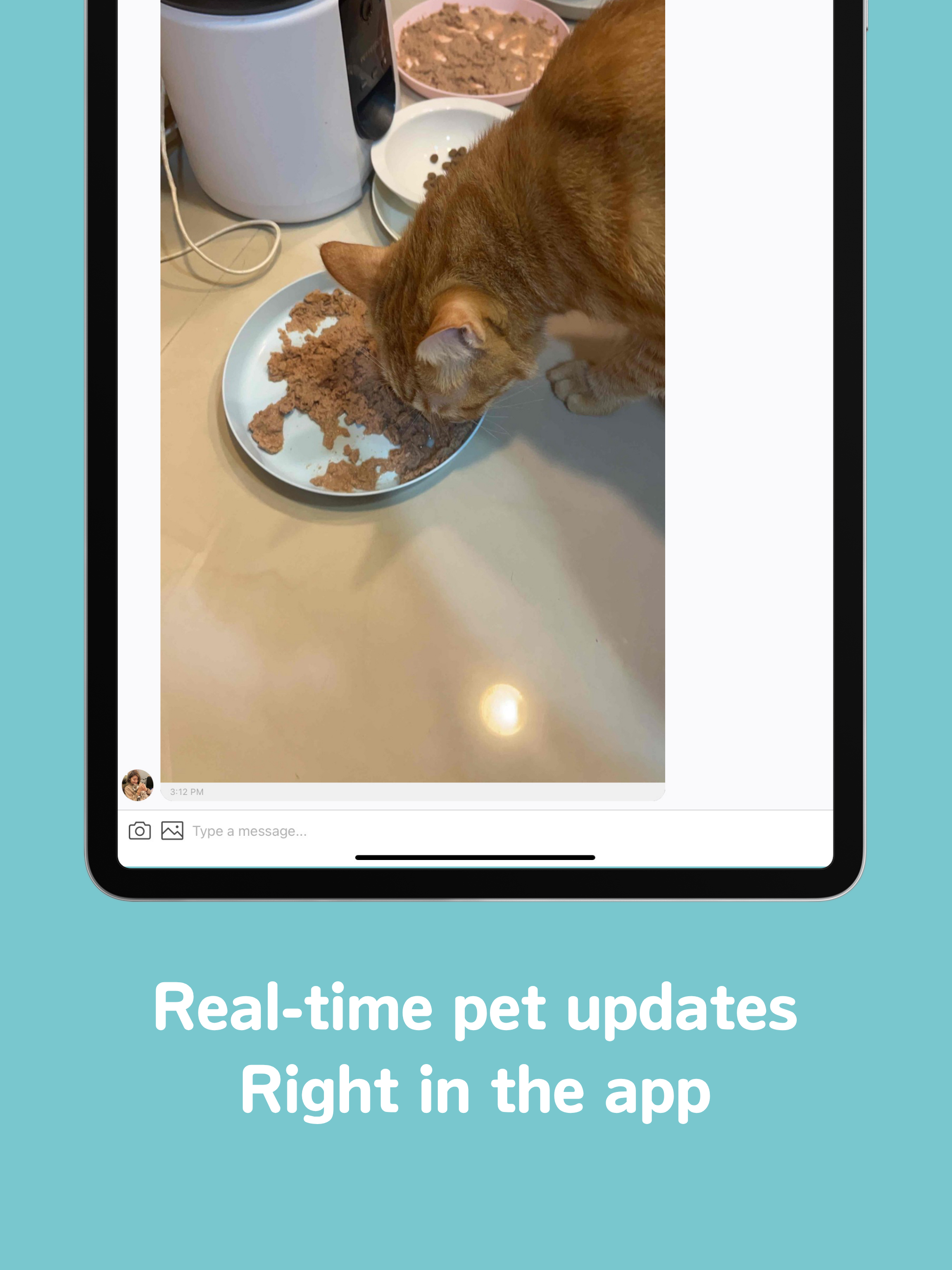 Fluv - Find Trusted Pet Sitter screenshot 5