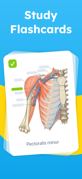 Mopiq: AI Flashcards Learning Screenshot 1 of 6