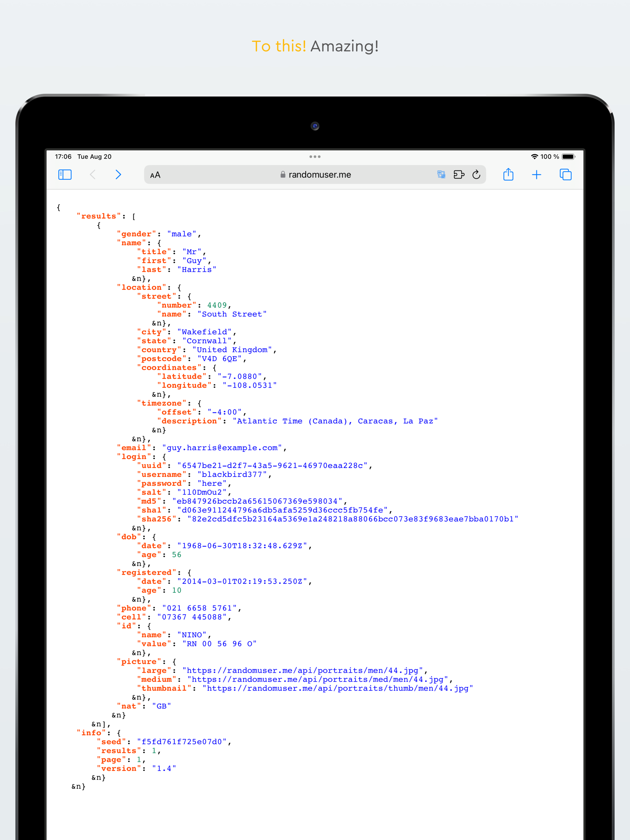 PrettyJsonInBrowser